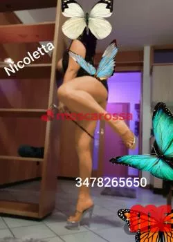 Foto di 3478265650