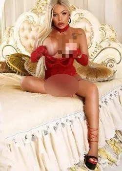 Foto di 3293358987