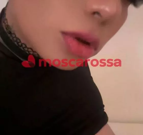 escort.it - Niky