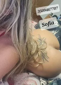 escort.it - (no Straniero)arrivata Bellissima Splendida Sofia Caliente é Bollente Foto 100% Reale.