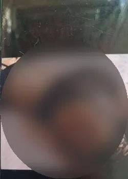 Foto di 3318943864