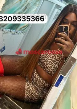 escort.it - Paloma Terzagamba