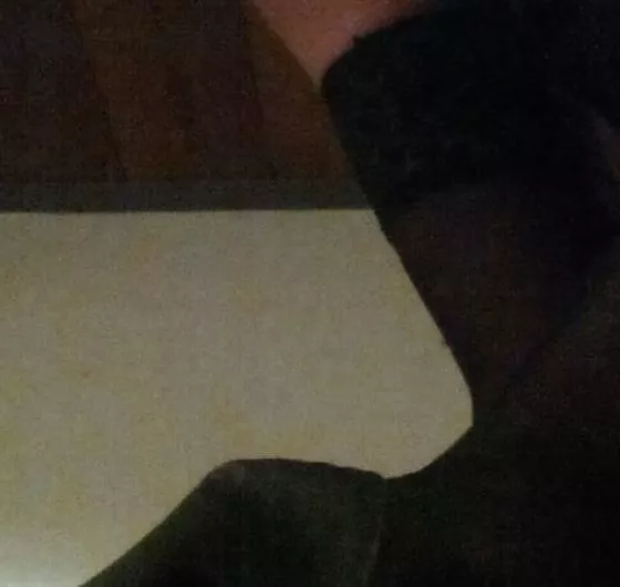 Foto di 3384452664