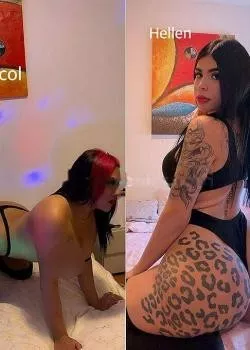 Foto di 3930972337
