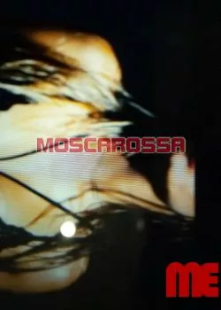 Foto di 3317425073