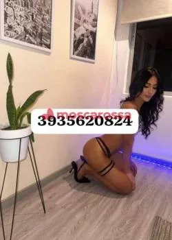 Foto di 3935620824