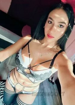 Foto di 3314638799