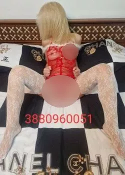 Foto di 3880960051