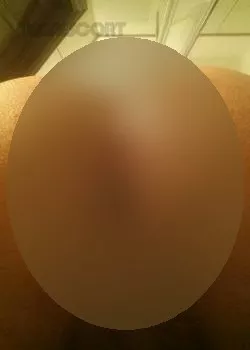 Foto di 3533956940