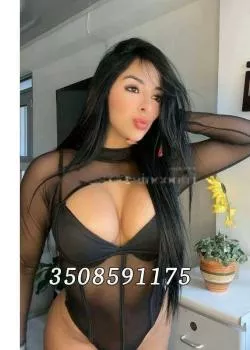 Foto di 3508591175