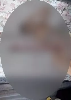 Foto di 3804937252