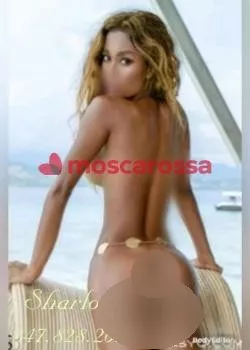 Foto di 3478282024