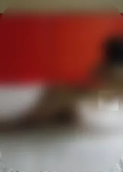 Foto di 3273239025