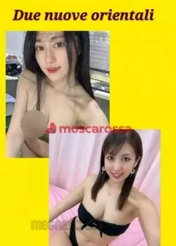 escort.it - Sono Arrivata Da Poco