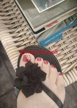 Foto di 3801239255