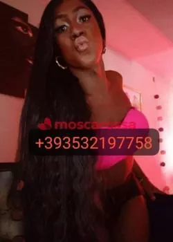 Foto di 3532197758