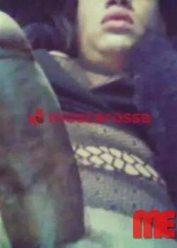Foto di 3509099874