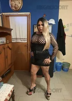 escort.it - trans Gran Porcona attiva, Passiva Una Vera Cavalla Tutta Da Montare Con Una Mazza Dura E Piena Da Latte
