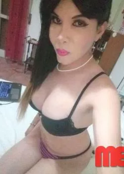 Foto di 3312555680