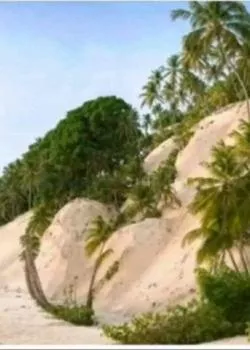 escort.it - Vado A Letto Solo Con Donne, Non Con Gay O Trans.