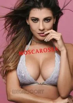 Foto di 3511356095