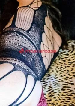 Foto di 3393559148