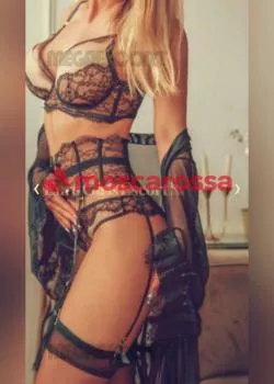 Foto di 3313431594
