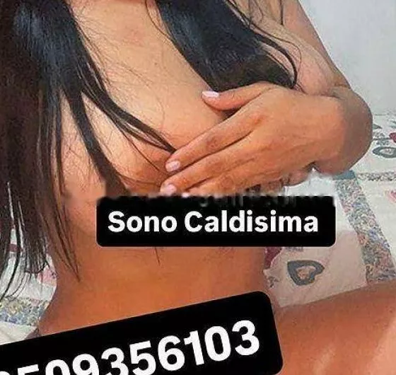 Foto di 3509356103