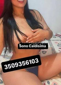 Foto di 3509356103
