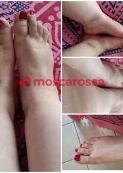 Foto di 3717387084