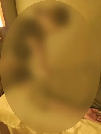 Foto di 3444099929