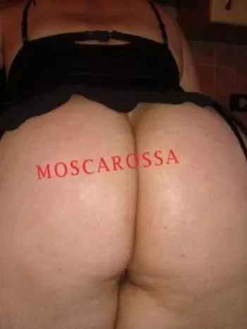 Foto di 3516413176