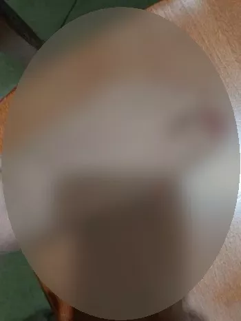 Foto di 3715523177