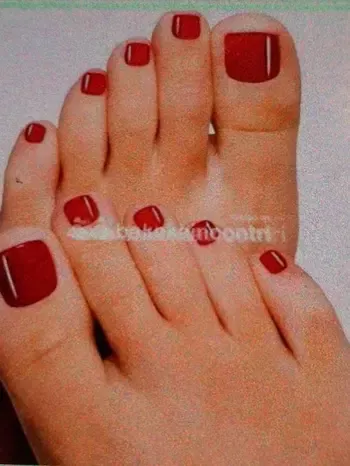Foto di 3515736956