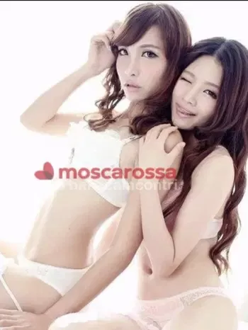 Foto di 3511498198