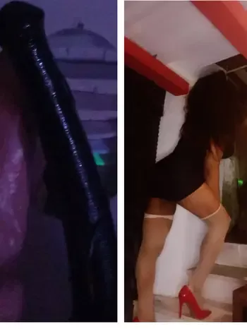 Foto di 3343514888