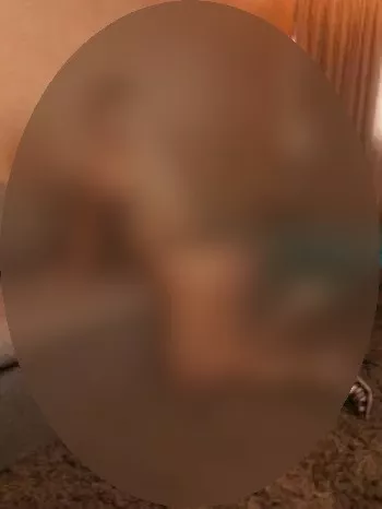 Foto di 3463726012