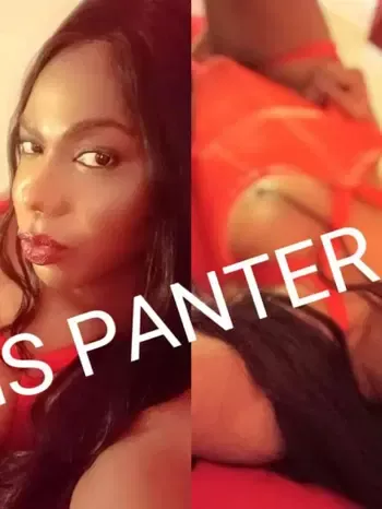 escort.it - Trans pantera xxl new new