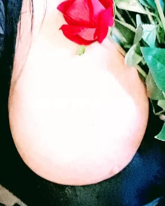 Foto di 3347436973