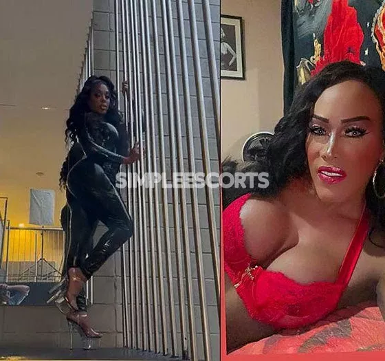 escort.it - CRISTAL 💄💋TRANS REGINA DIL POMPINO SCOPERTO E DELLA SBORATA 🍼ATTIVA E PASSIVA CON CAZZO BELLO GROSSO👀💯