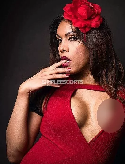 escort.it - PALERMO 👠 TRANS LADY GATTA FEMENILE DELICATA DOLCE E ANCHE CON CARATTERE 🌶️ATTIVA PASSIVA PASSIONALE