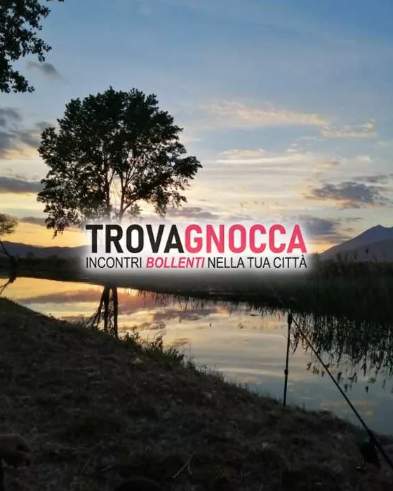 Foto di 3208445864