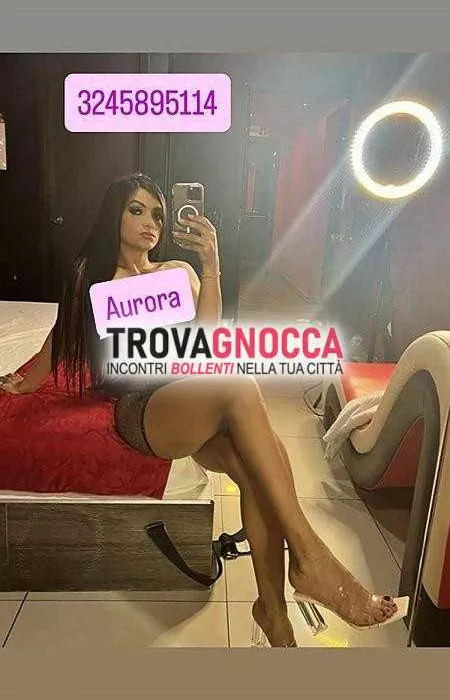 escort.it - 3245895114 - Arezzo: aurora super transessuale 
 minchia...