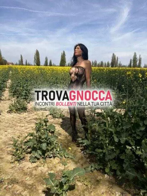 escort.it - 3271157814 - Ferrara: transessuale xxx 💦💦carlotta transessuale...