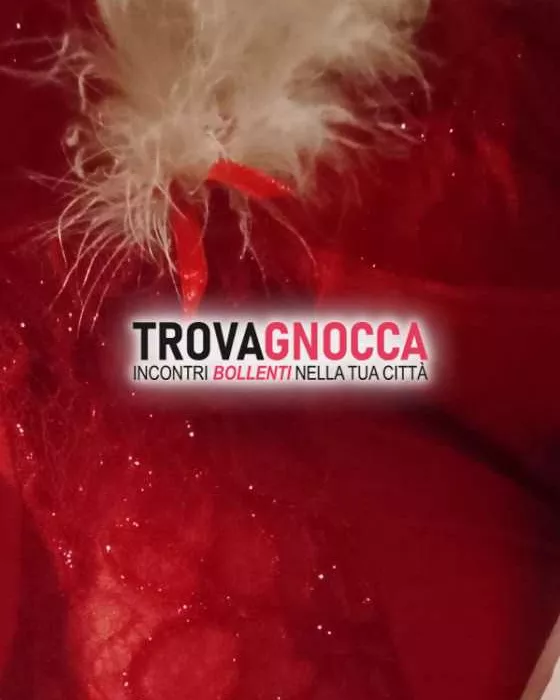 escort.it - 3272970130 - Treviso: sono ragazza giovane vogliosa.
