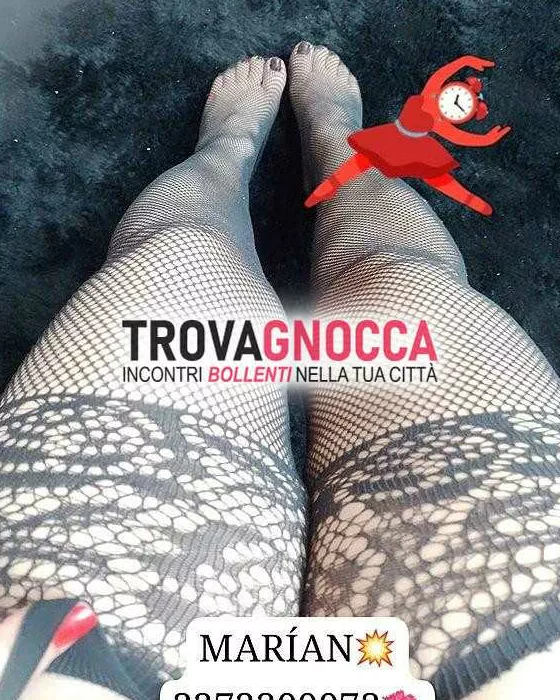 escort.it - 3273309973 - Rovigo: 🔥prima volta questa bellissima...