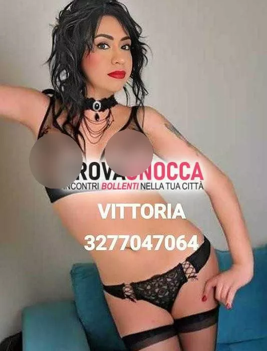Foto di 3277047064