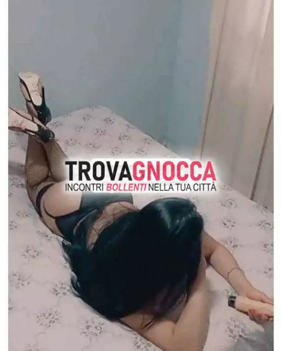 escort.it - 3278519342 - Novara: appena arrivata transessuale bomba...