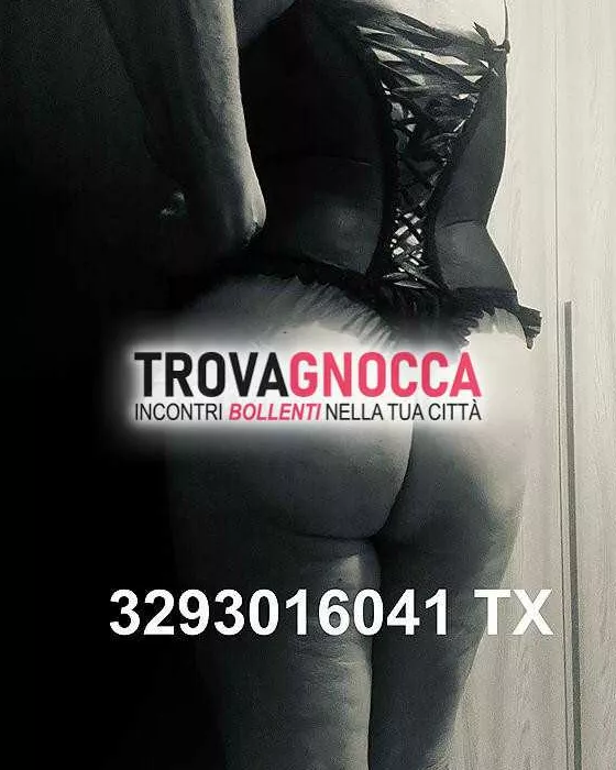 escort.it - 3293016041 - Verona: milf transessuale italiana