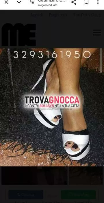 Foto di 3293161950